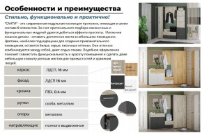 Прихожая Санти Антрацит в Усть-Катаве - ust-katav.mebel74.com | фото 5