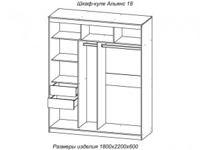 Шкаф-купе Альянс 18 комплект зеркал №4 в Усть-Катаве - ust-katav.mebel74.com | фото 2