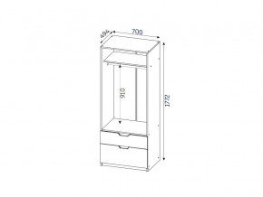 Шкаф с 2-мя ящиками ЛДСП Фаворит в Усть-Катаве - ust-katav.mebel74.com | фото 2